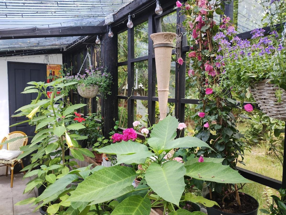 Ezzo Guest House Nakskov Luaran gambar